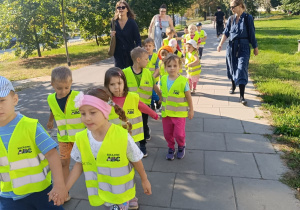 Niezapominajki w drodze.