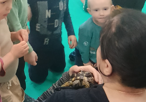 Dzieci zapoznają się z żółwiem