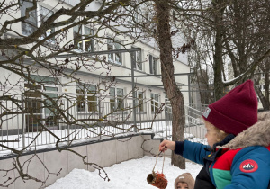 chłopiec wiesza na drzewie przysmak dla ptaków