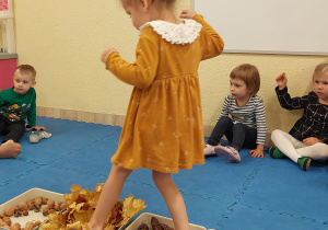 Dziewczynka stoji w pojemnikach z szyszkami i liściami