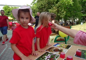 Dziewczynka wącha