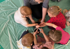 Dzieci wspólnie wkładają cebulki do doniczki