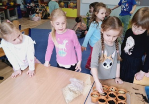 dziewczynki sieją