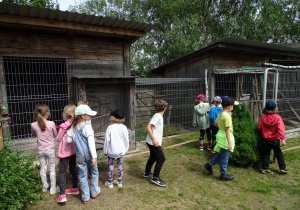Dzieci oglądają zwierzęta