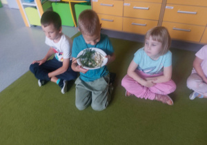 Wąchanie przypraw potrzebnych do kiszenia ogórków.