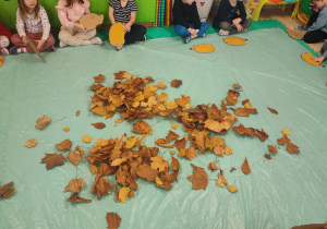 dzieci oglądają jesienne liście