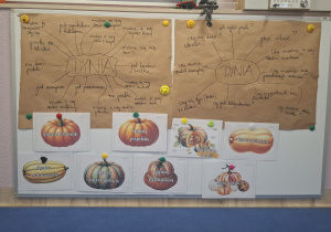 Mapa informacji, siatka pytań oraz zdjęcia róznych dyń