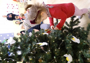 Wieszanie ozdobionych pierników na przedszkolną choinkę.