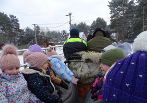 Przedszkolaki podczas przejażdżki kuligiem.