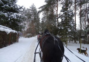 Przejażdżka kuligiem w zimowej scenerii.