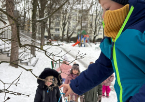 dzieci zwieszają na gałęzi drzewa przysmak dla ptaków