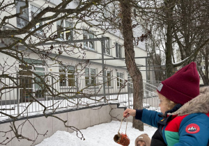 chłopiec wiesza na drzewie przysmak dla ptaków