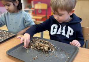 chłopiec robi z ziarna kolbę dla ptaków
