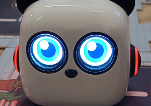 Robot mTiny panda.