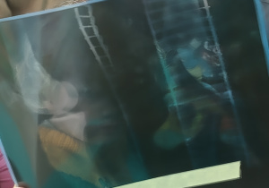 Oglądanie rentgenu przez dzieci.