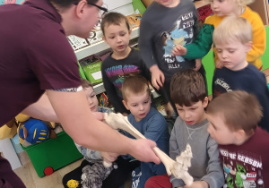 Oglądanie modelów kości.