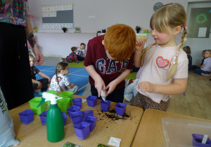 chłopiec wsypuje nasiona do doniczki