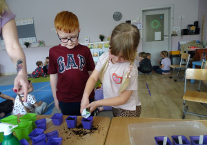 dziewczynka wsypuje nasiona do doniczki