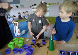 dziewczynka wsypuje nasiona do doniczki