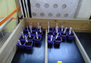 doniczki wstawione do szklarni