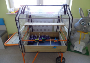 szklarnia z doniczkami