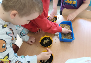 Chłopcy sadzą owies