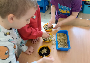 Dzieci wsypują owies do doniczek