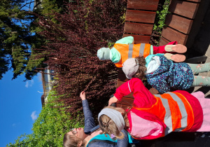 Dzieci patrzą na berberys