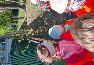 Dzieci obserwują dereń jadalny