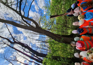 Dzieci patrzą na olchę czarną