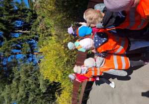 Dzieci patrzą na forsycję