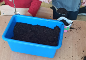 Chłopcy sypią ziemię do małych doniczek