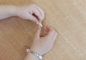 Dzieci przyglądają się nasionom fasoli