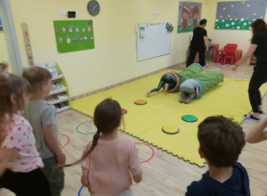 Zielona noc w gupie Słoneczniki