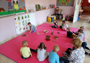 dobieramy liście i owoce do drzew