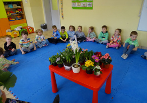 Rumianki poznają wiosenne kwiaty
